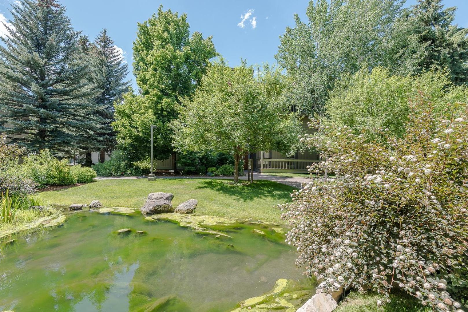 Cottonwood 1453a