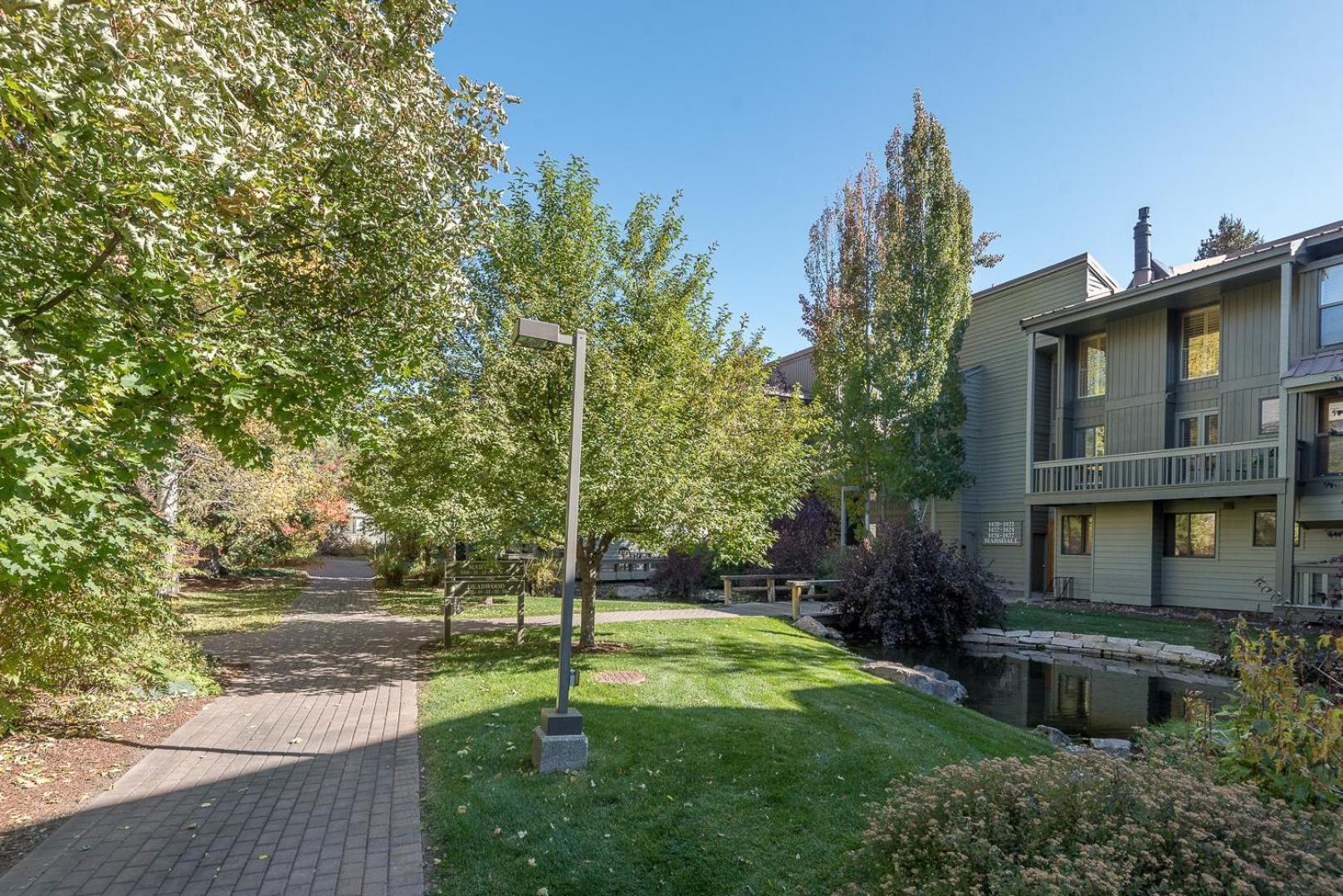 Cottonwood 1453a